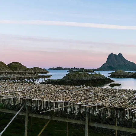 Live Lofoten Hotel 3*