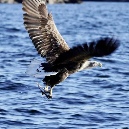 Live Lofoten Otel 3*