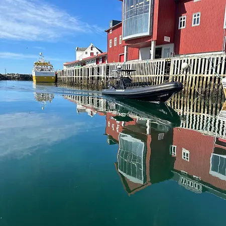 Live Lofoten