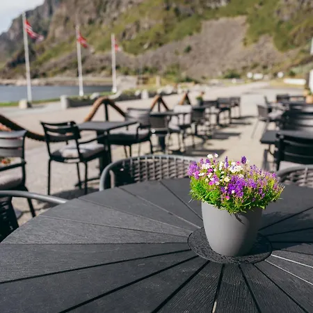 Live Lofoten 3*