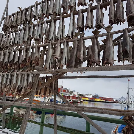 Otel Live Lofoten 3*