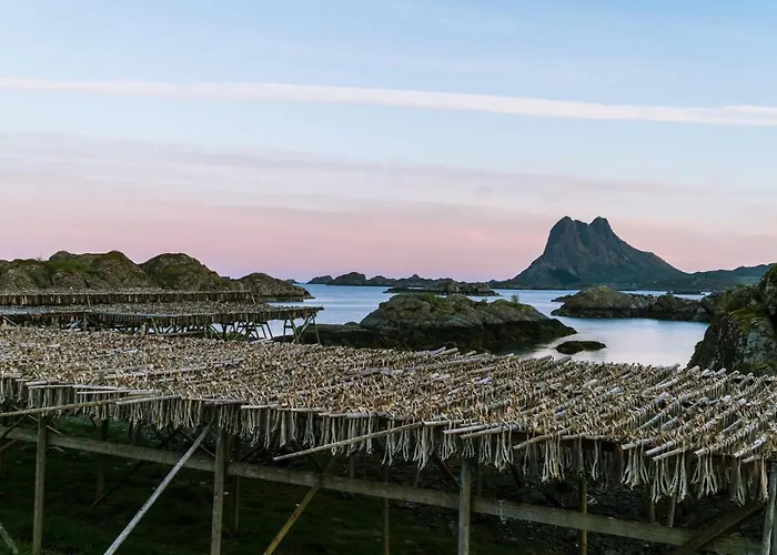 Live Lofoten Hotell 3*