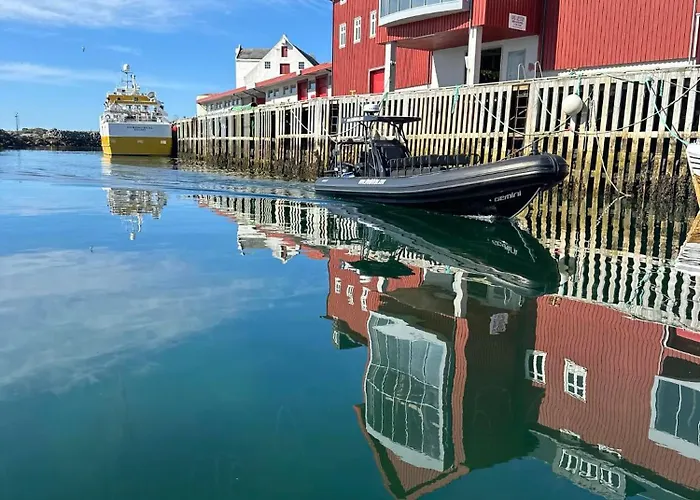 Live Lofoten