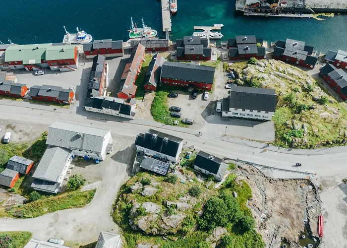 Live Lofoten