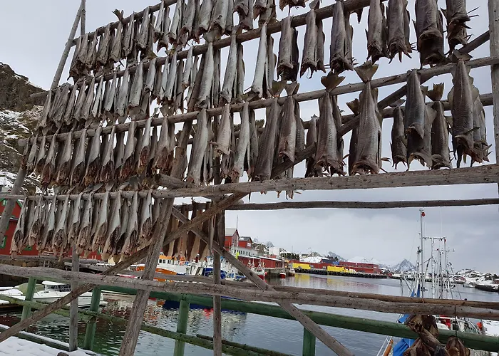 Hotel Live Lofoten 3*