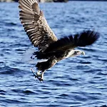 Live Lofoten Ξενοδοχείο 3*