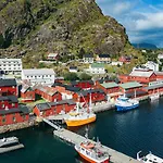 Live Lofoten
