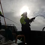 Live Lofoten